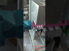 Mała wytłaczarka próżniowa/młyn próżniowy/produkt z ciasta glinianego/wytłaczarka laboratoryjna