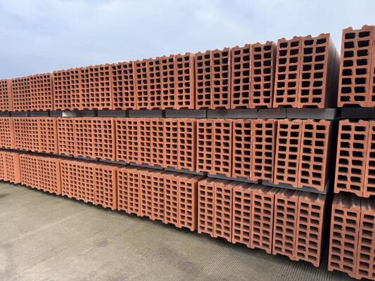 Linia do produkcji cegieł glinianych Technologia systemu suszenia i wypalania pustych bloków i paneli ściennych